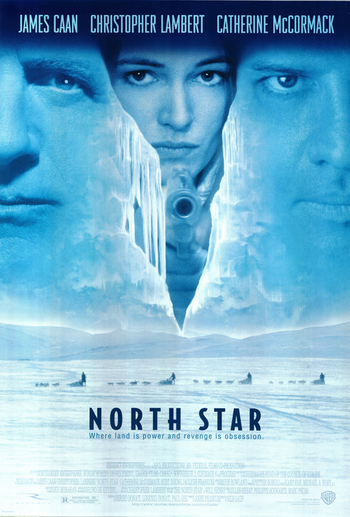 north star 1996 one sheet poster rolled